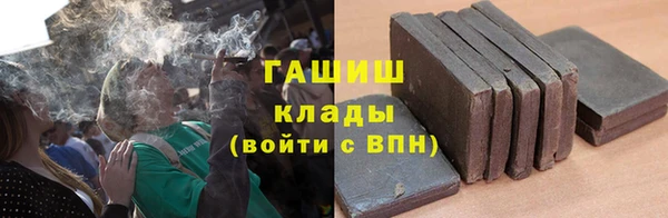 крисы Алексин