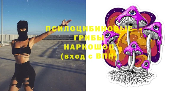ешки Алексеевка