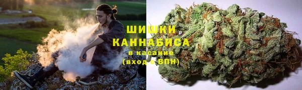 ешки Алексеевка
