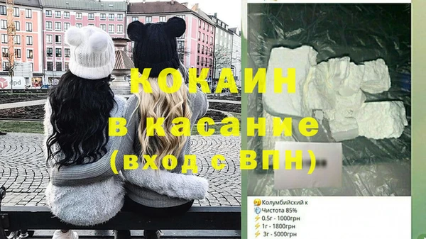 крисы Алексин