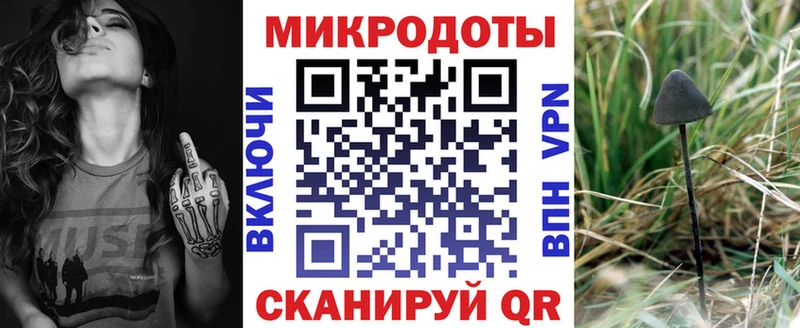Псилоцибиновые грибы Psilocybine cubensis Старый Оскол