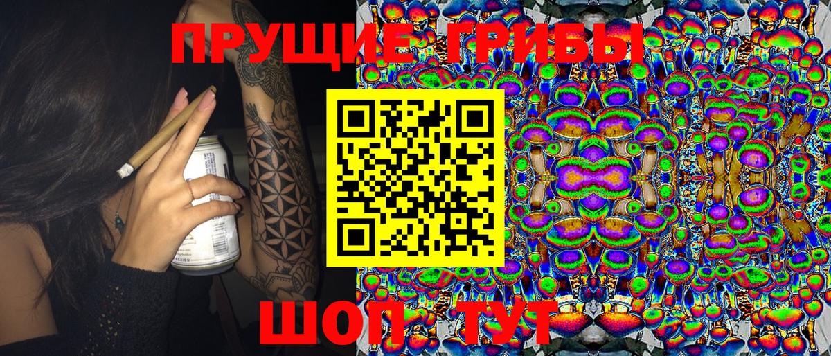 Псилоцибиновые грибы мицелий Старый Оскол